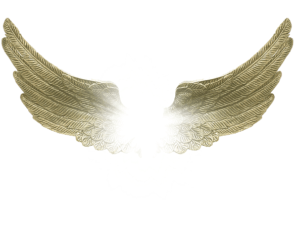 Angel Wings PNG