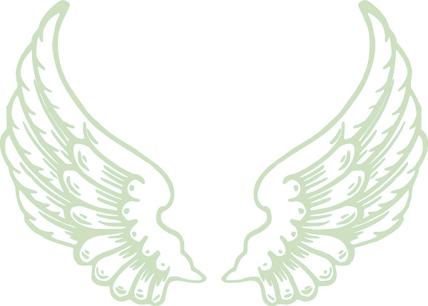 Angel Wings PNG