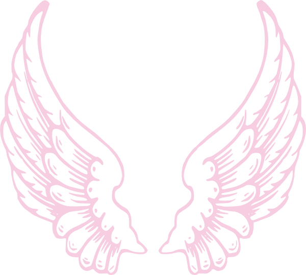 Angel Wings PNG