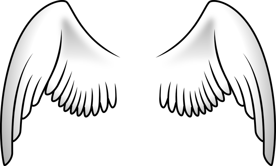Angel Wings PNG