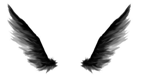 Angel Wings PNG