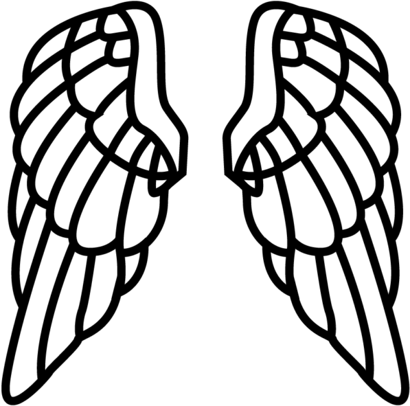Angel Wings PNG
