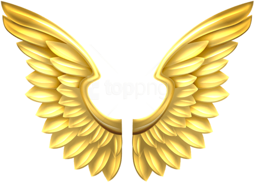 Angel Wings PNG