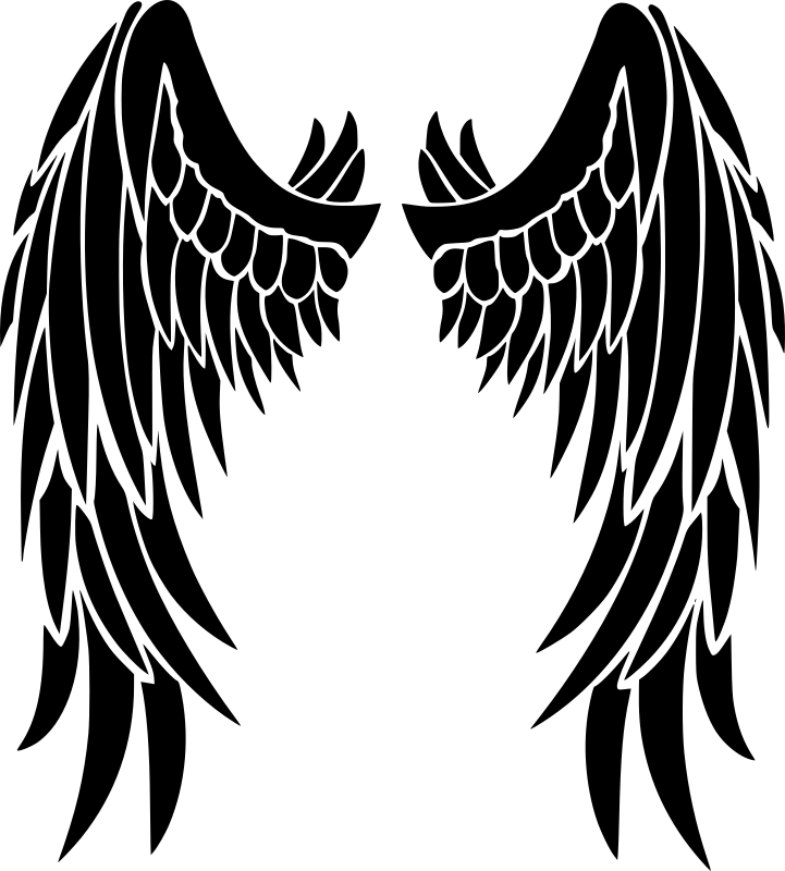 Angel Wings PNG