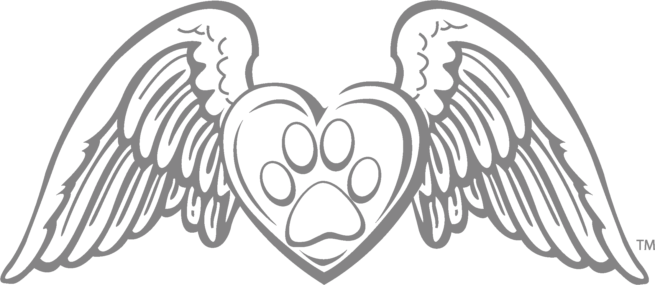 Angel Wings PNG