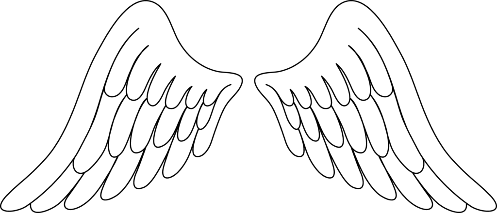 Angel Wings PNG