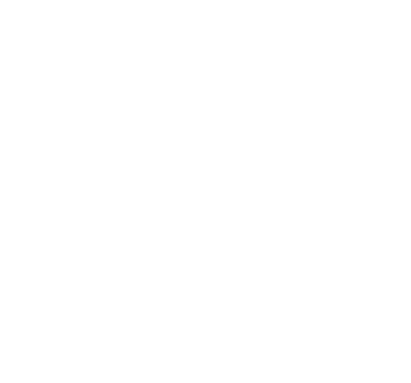 Angel Wings PNG