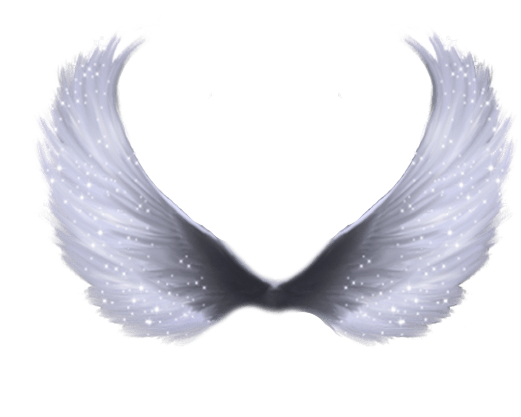Angel Wings PNG