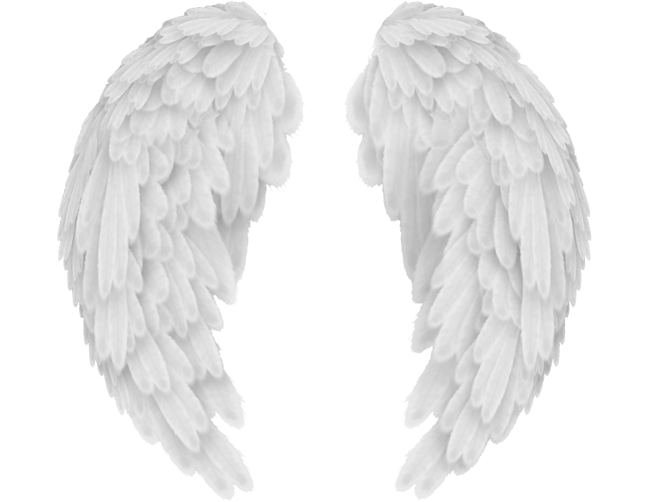 Angel Wings PNG