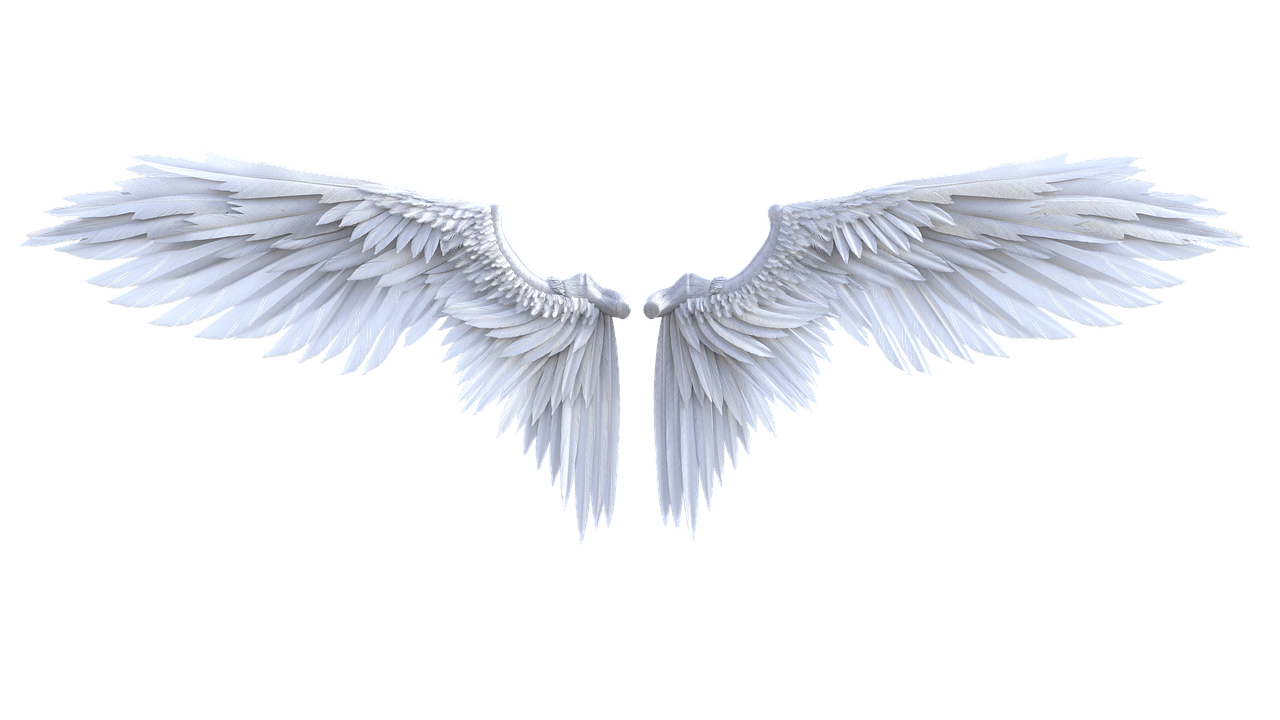 Angel Wings PNG