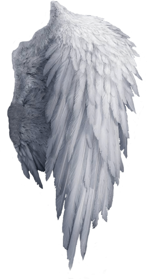 Angel Wings PNG