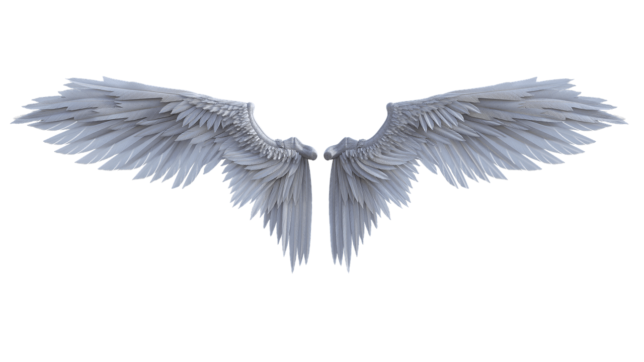 Angel Wings PNG