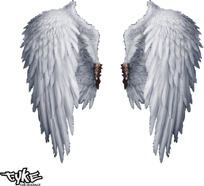Angel Wings PNG