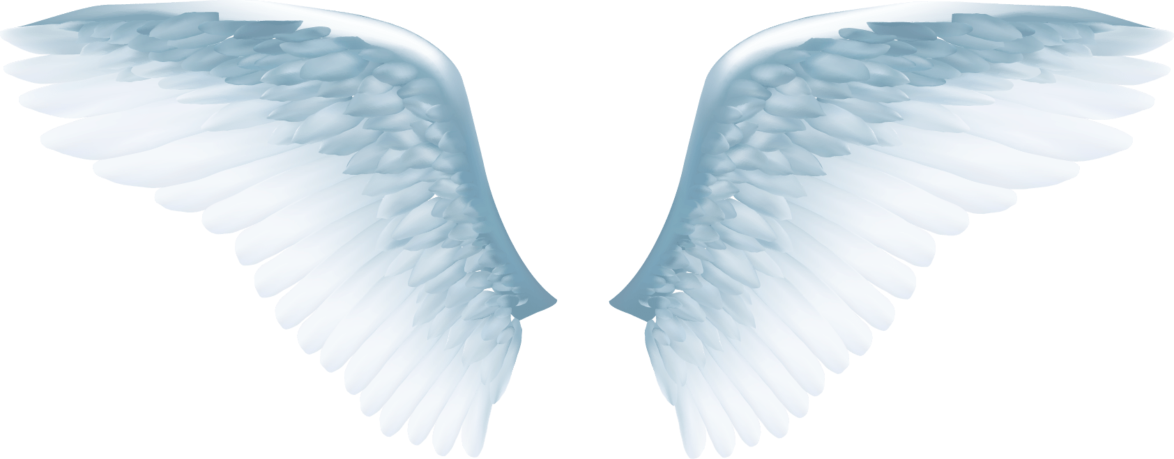 Angel Wings PNG