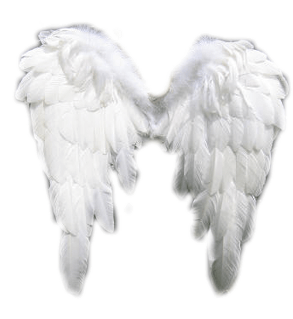 Angel Wings PNG