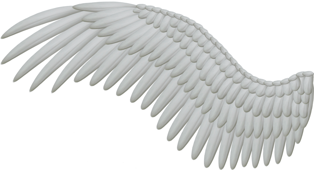 Angel Wings PNG