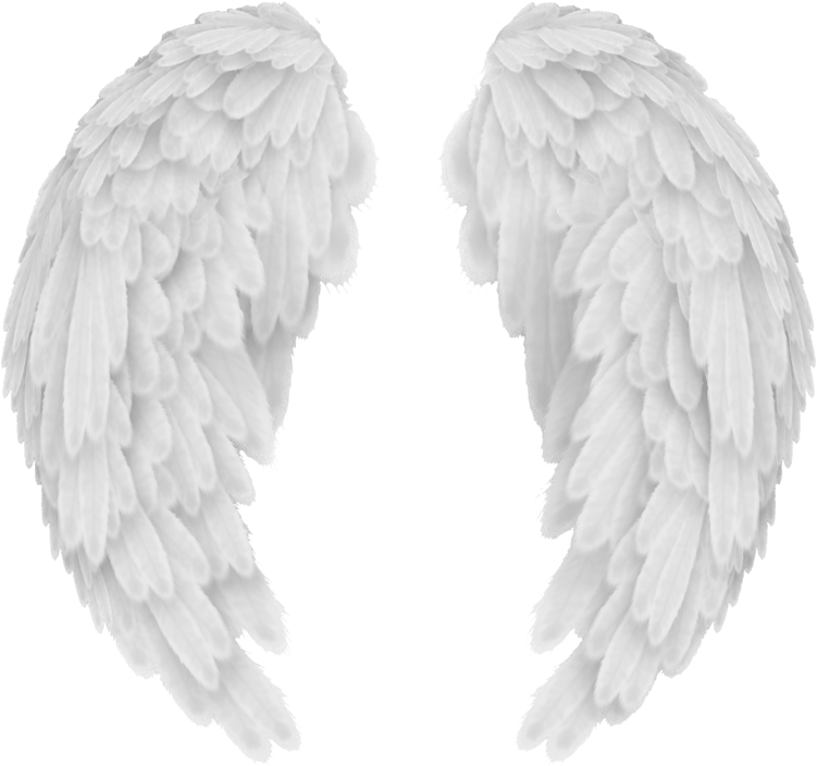 Angel Wings PNG