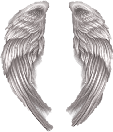 Angel Wings PNG