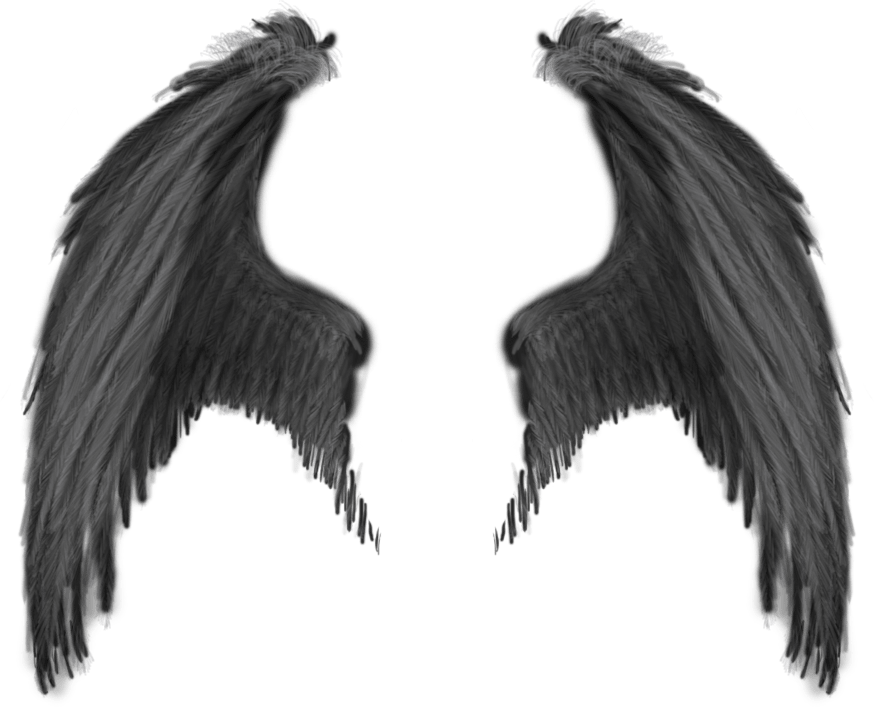 Angel Wings PNG