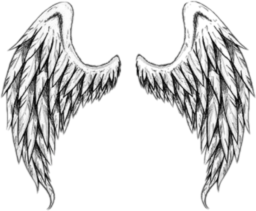 Angel Wings PNG