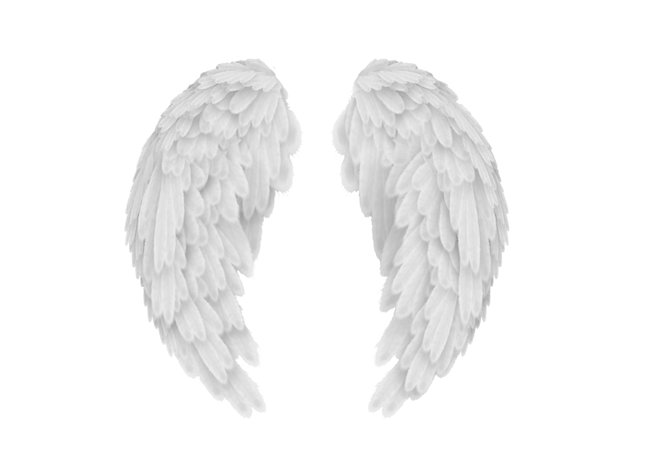 Angel Wings PNG