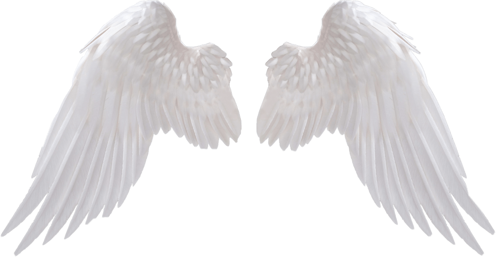 Angel Wings PNG
