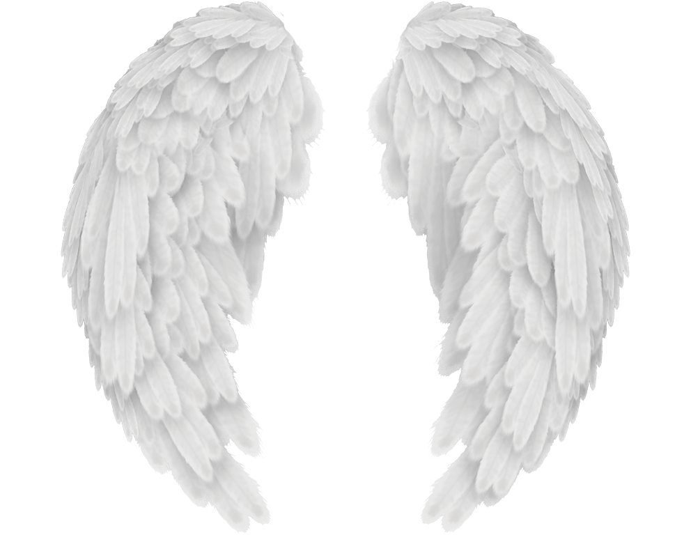 Angel Wings PNG
