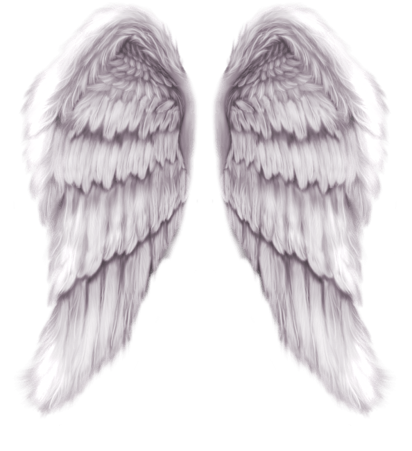 Angel Wings PNG
