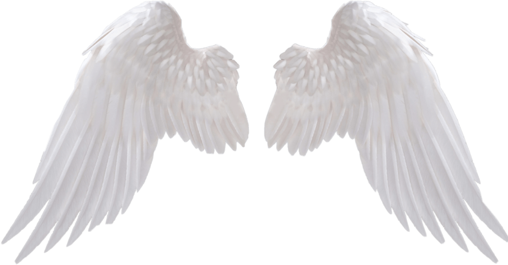 Angel Wings PNG