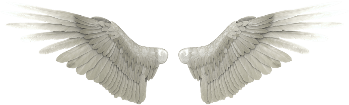 Angel Wings PNG