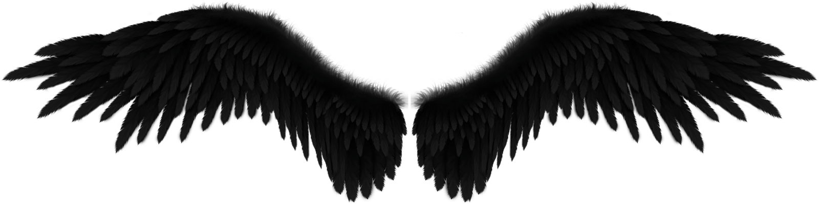 Angel Wings PNG
