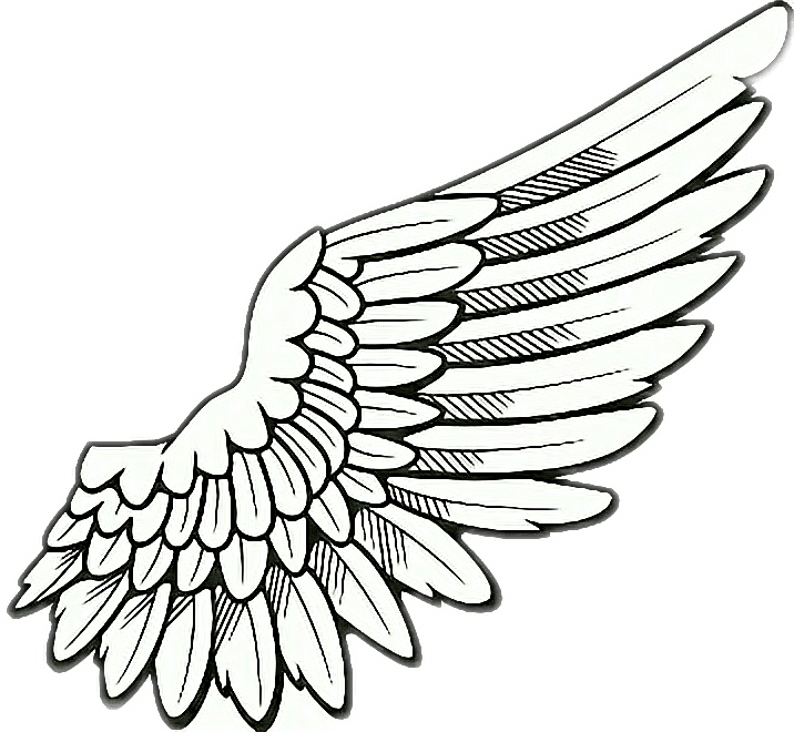 Angel Wings PNG