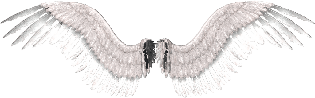 Angel Wings PNG