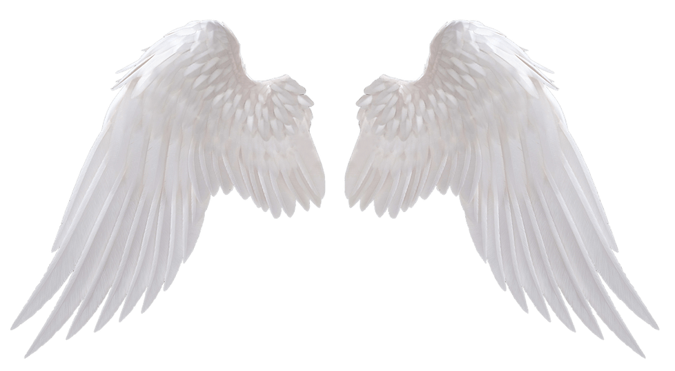 Angel Wings PNG