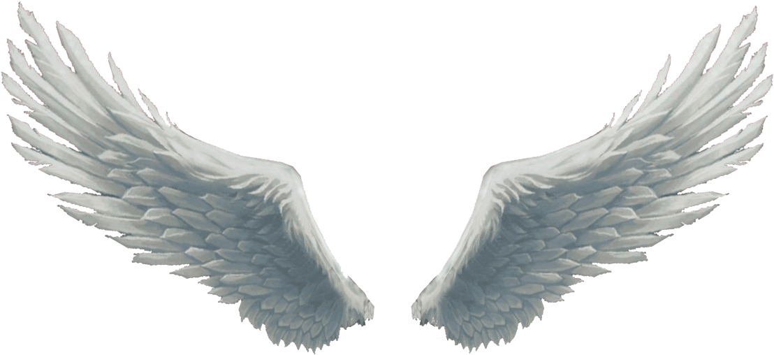 Angel Wings PNG