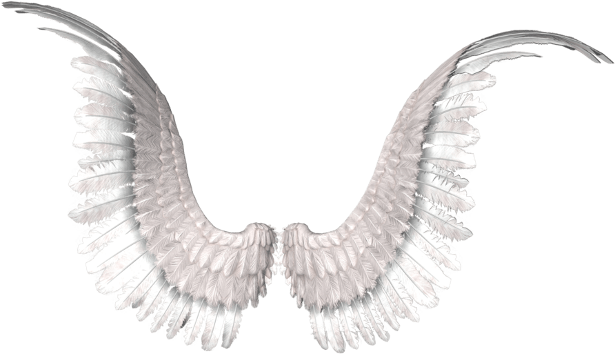 Angel Wings PNG