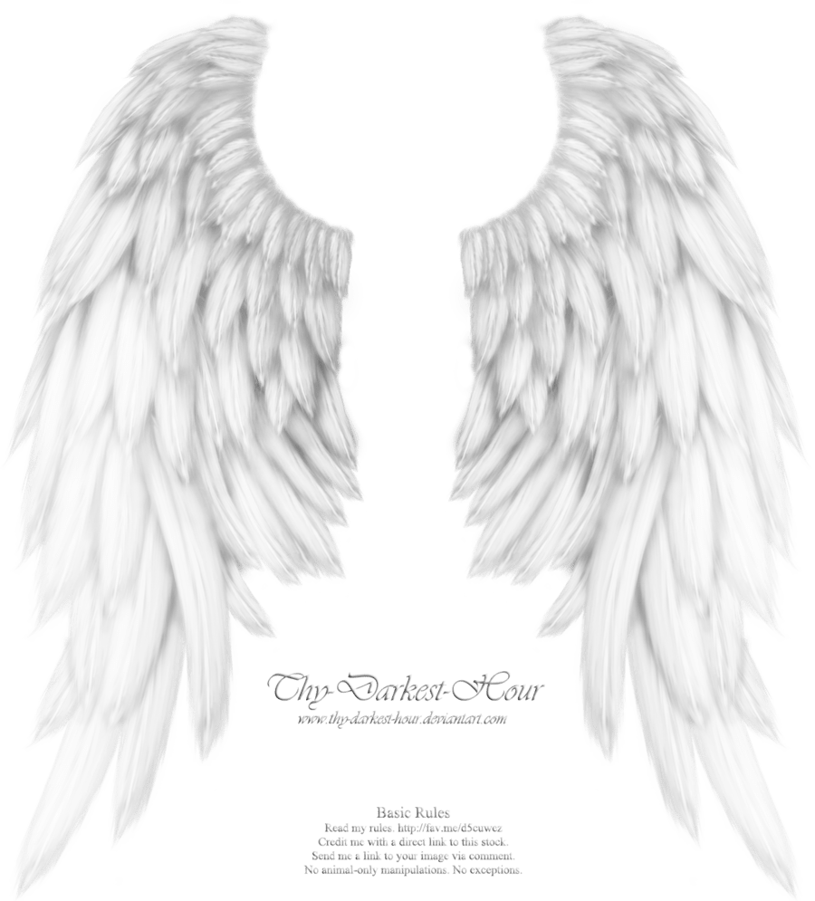 Angel Wings PNG