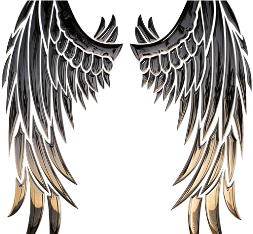 Angel Wings PNG