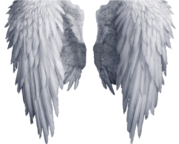 Angel Wings PNG