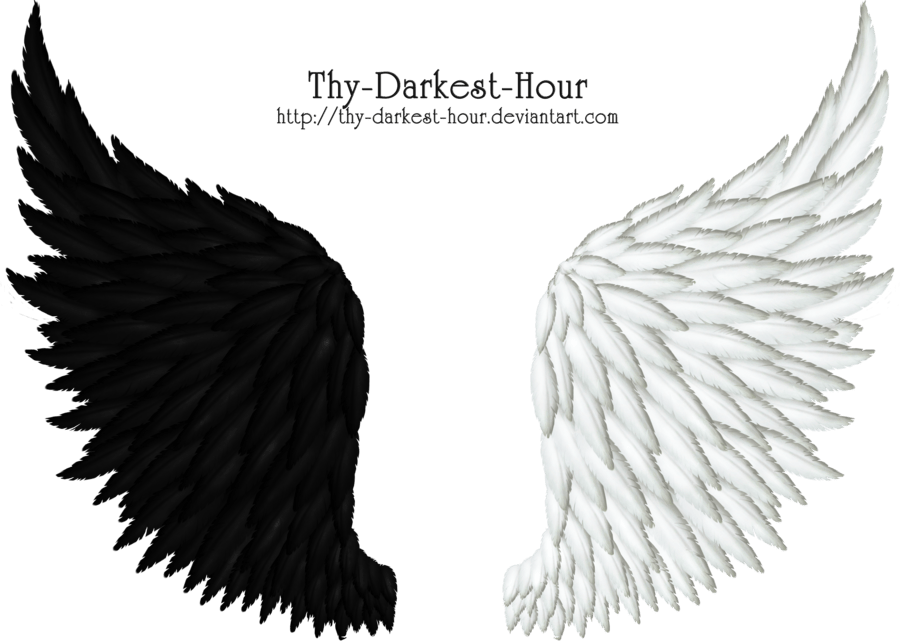 Angel Wings PNG