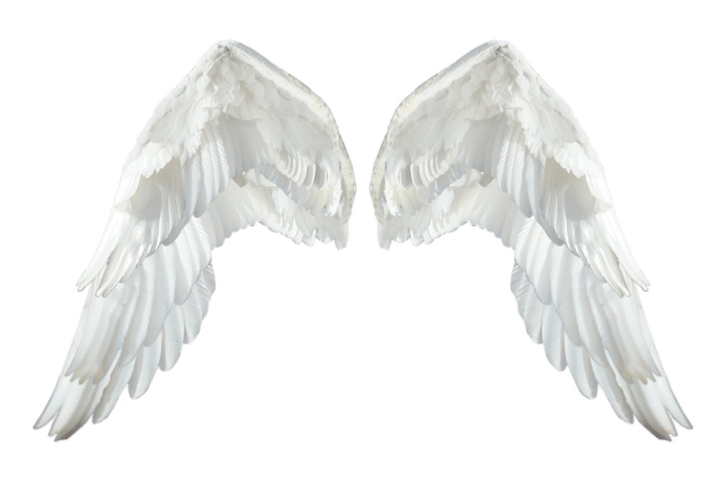 Angel Wings PNG