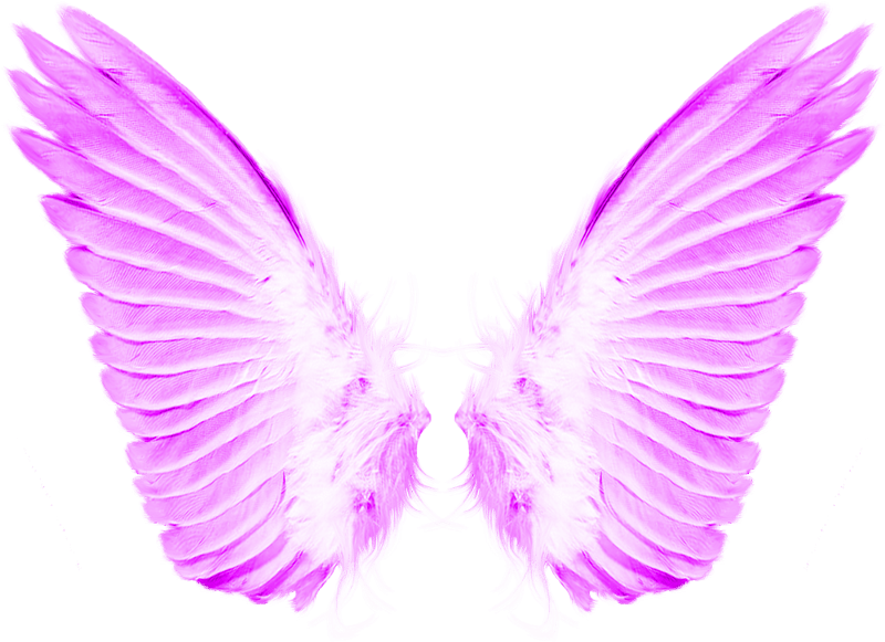 Angel Wings PNG
