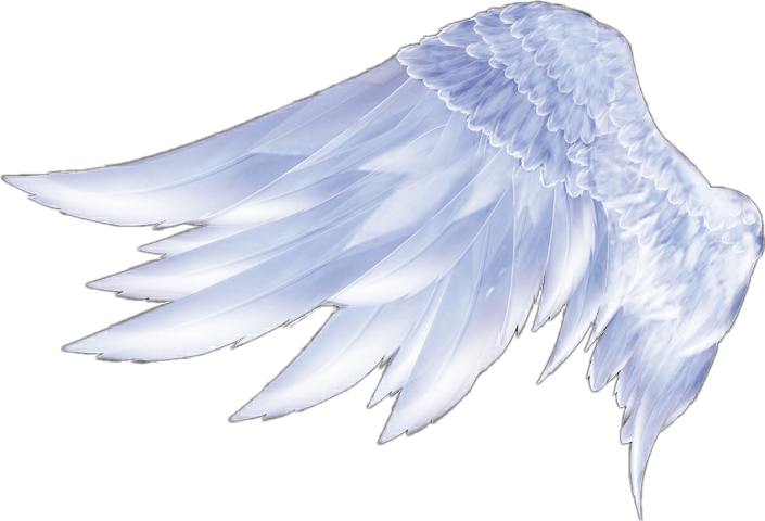 Angel Wings PNG