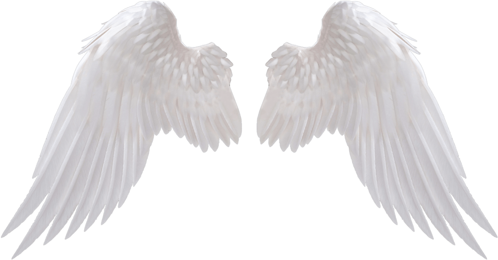 Angel Wings PNG