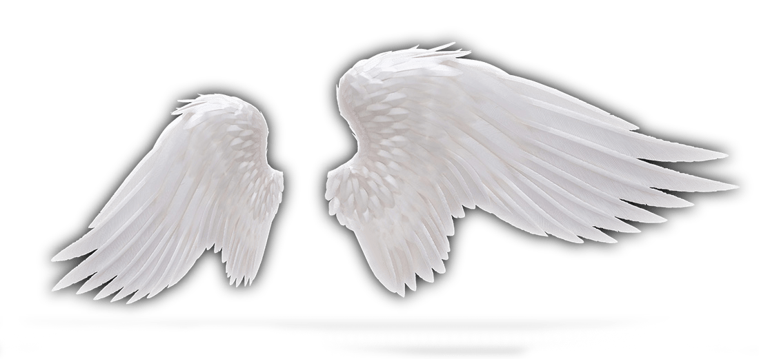 Angel Wings PNG