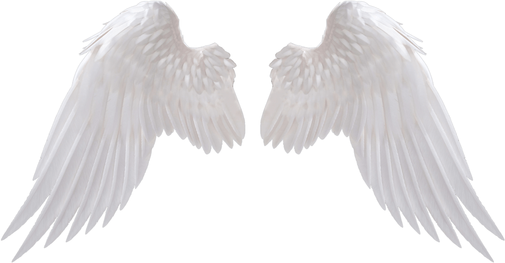 Angel Wings PNG