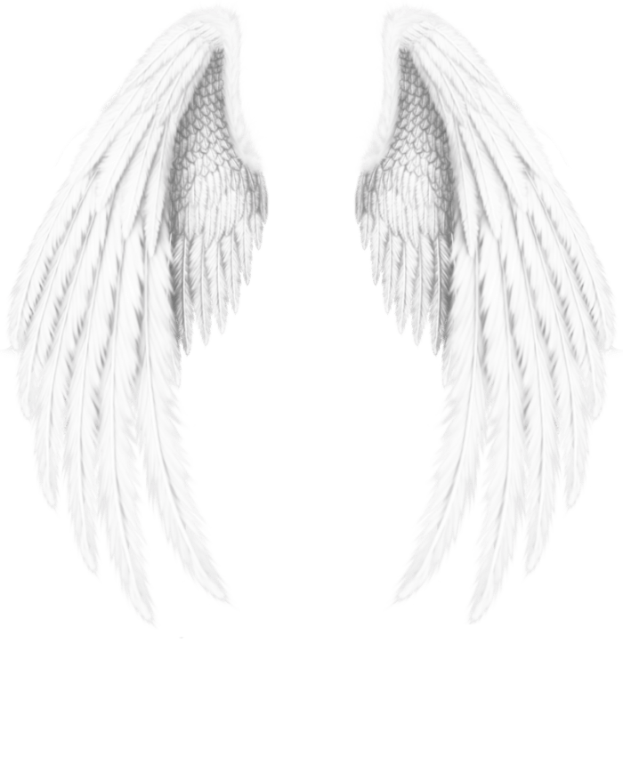 Angel Wings PNG