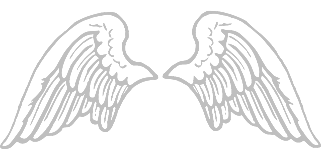Angel Wings PNG