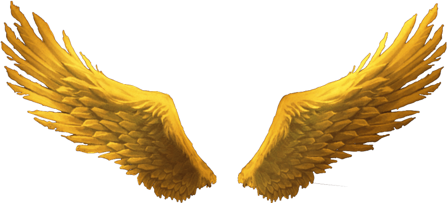 Angel Wings PNG