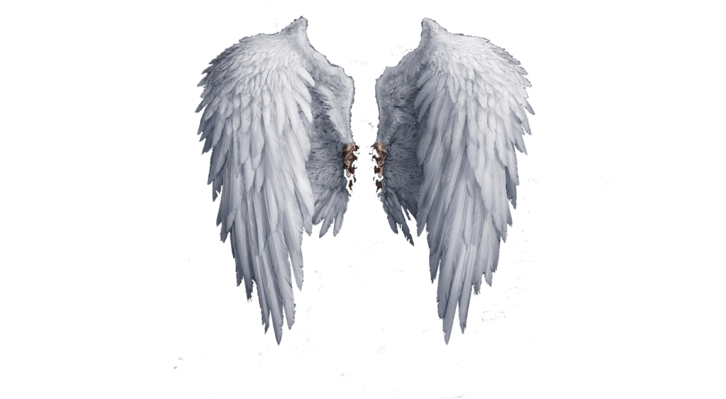 Angel Wings PNG